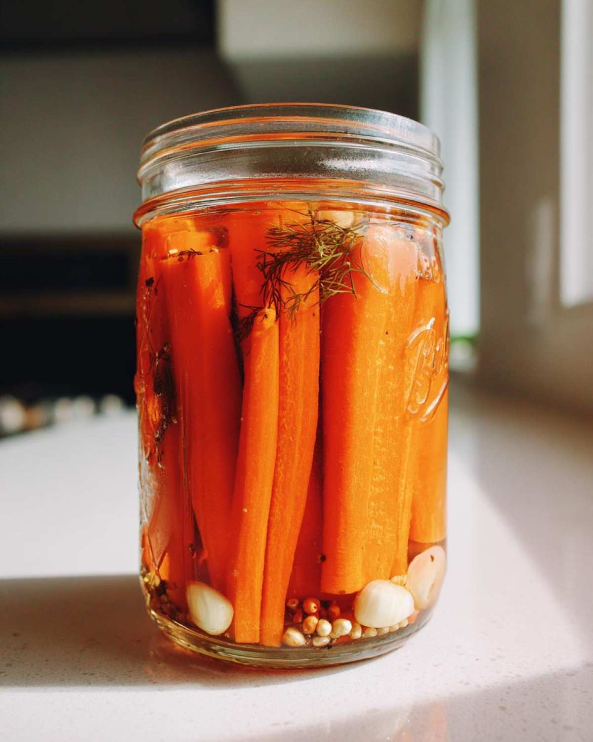 A glass jar filled with bright orange pickled carrots, garlic cloves, peppercorns, and dill fronds.