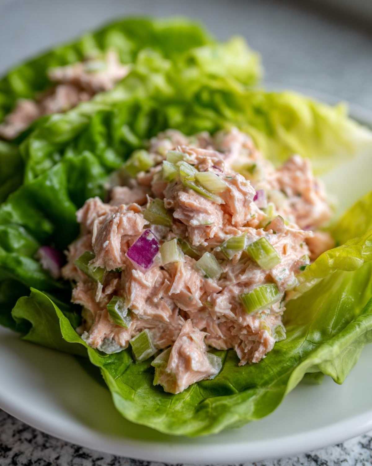 Close-up of creamy salmon salad mixed with celery and red onion served in bright green lettuce cups.